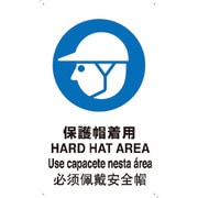 T-802601 [JIS規格安全標識 保護帽着用]