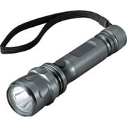 アルミLEDライト 110ルーメン Φ36X142 TAL-632LN