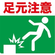 TPNS-3033 [プリントノンスリップ300X306 足元注意]