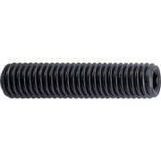 B31-1225 [六角穴付止めネジ サイズM12X25 19本入]