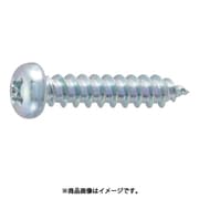 B707-0665 [ナベ頭タッピングねじ 三価白 M6X65 10本入]