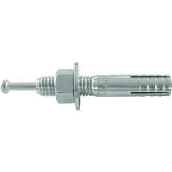 C-1050BT [オールアンカーCタイプ M10X50 10本入]