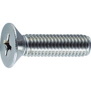 B06-0204 [皿頭小ネジ ステンレス サイズM2X4 140本入]