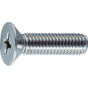 B06-0306 [皿頭小ネジ ステンレス サイズM3X6 220本入]