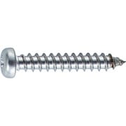B09-0310 [ナベ頭タッピングねじ ステンレス M3X10 150本入]