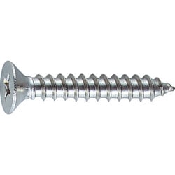 皿頭タッピングねじ ステンレス M3X6 165本入 B10-0306