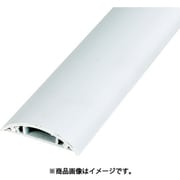 TRDR501W [配線カバー50 1M 白]