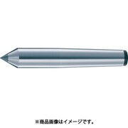 レースセンター超鋼付 ロングタイプ MT5 245mm TRSPL-5