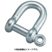 TSC-06 [ネジシャックル スチール製 6mm]
