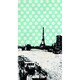 fvsc_004 [スクリーンクリーナー タワー]