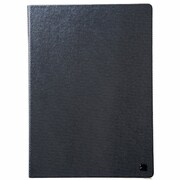 Metallic Diary iPad Air NV