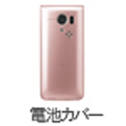 ヨドバシ.com - SoftBank ソフトバンクモバイル 301SH 電池カバー(PK