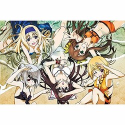 Amazon | IS-インフィニット・ストラトス- 海辺のヒロイン