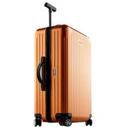 SALSA AIR(サルサ エアー) 82363 旅行日数目安:4~7泊 63L TSAロック搭載 インカゴールド 並行輸入品 820.63.23.4