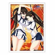 ブシロードスリーブコレクションHG Vol.623 [真剣で私に恋しなさい！A 「葉桜 清楚」]