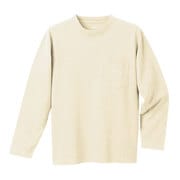 2104172 [ウォッシュアウト ペアスキンコットン ロングスリーブT アイボリー IV XL]