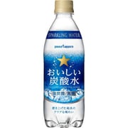 おいしい炭酸水 ペット 500ml×24 [炭酸飲料]