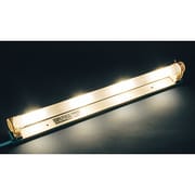キセノンボーライト 本体ランプセット 120W FL40サイズ フロスト 屋内用 BD120W40BF