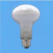 白熱電球 レフランプ E26口金 110V 100W 80mm径 R80E26110V100W F