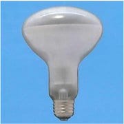 白熱電球 レフランプ E26口金 110V 100W 100mm径 R100E26110V100W F