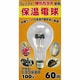 保温電球 屋内用 60W 04-1331
