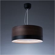 cookiray（クーキレイ） 照明付き換気扇 LED ウッドブラック C-FUL501-WBK
