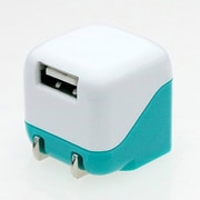 PSEマーク取得済 WH mini USB-ACアダプター