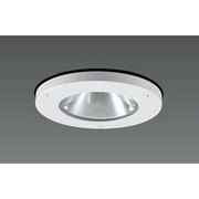 ポーチライト 安定器別売 ランプ別売 水銀灯 HIDランプ 軒下用 DH-2966