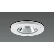 ポーチライト 安定器別売 ランプ別売 水銀灯 HIDランプ 軒下用 DH-2967