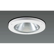 ポーチライト 安定器別売 ランプ別売 水銀灯 HIDランプ 軒下用 DH-2968