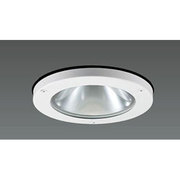 ポーチライト 安定器別売 ランプ別売 水銀灯 HIDランプ 軒下用 DH-2969