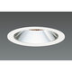 LEDダウンライト(30W ナロー 電球色) DD-3212-L