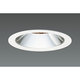 LEDダウンライト(30W ナロー 白色) DD-3212-W