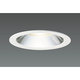 LEDダウンライト(30W ミディアム 昼白色 φ125) DD-3215-N