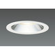 LEDダウンライト(30W ミディアム 白色 φ125) DD-3215-W