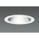 LEDダウンライト(30W ワイド 白色 φ125) DD-3216-W