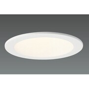 LEDダウンライト(19.0W ミディアム 昼白色) DD-3259-N