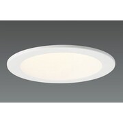 LEDダウンライト(24.4W ミディアム 昼白色) DD-3263-N