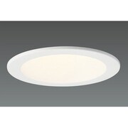 LEDダウンライト(24.4W ワイド 昼白色) DD-3264-N