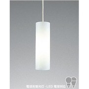 配線ダクトペンダントライト E17 クリプトン球 60W PE-2401