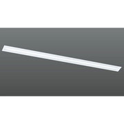 ベースライト LED 56W 白色 System-Ray PRO Wall Washer（システム・レイ・プロ・ウォールウォッシャー） DD-3342-W