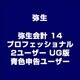 弥生会計 14 プロフェッショナル 2ユーザー UG版 青色申告ユーザー [ライセンスソフト]