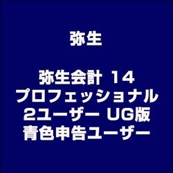 弥生 ヤヨイカイケイ 14 プロフェッショナル 弥生 弥生会計 25 プロフェッショナル 通常版 YRAU0001 : ベスト