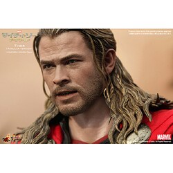 ヨドバシ.com - ホットトイズ HOT TOYS 『マイティ・ソー/ダーク