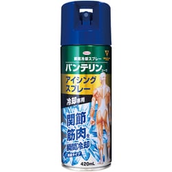 瞬間冷却スプレー 420mL バンテリンコーワ アイシングスプレー