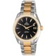 Seamaster AQUA TERRA（シーマスター アクアテラ） メンズ 並行輸入品 231.25.39.21.51.002