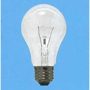 白熱電球 耐振電球 E26口金 110V 40W形 55mm径 クリヤー TAIPS55E26110V40WC