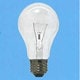 白熱電球 耐振電球 E26口金 110V 100W形 60mm径 フロスト TAIPS60E26110V100WF