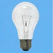 白熱電球 耐振電球 E26口金 110V 100W形 60mm径 フロスト TAIPS60E26110V100WF