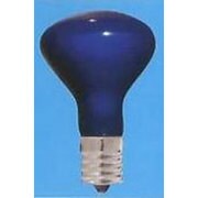白熱電球 耐熱着色カラー E17口金 110V 30W形 45mm径 耐熱ブルー R45E17110V30WB